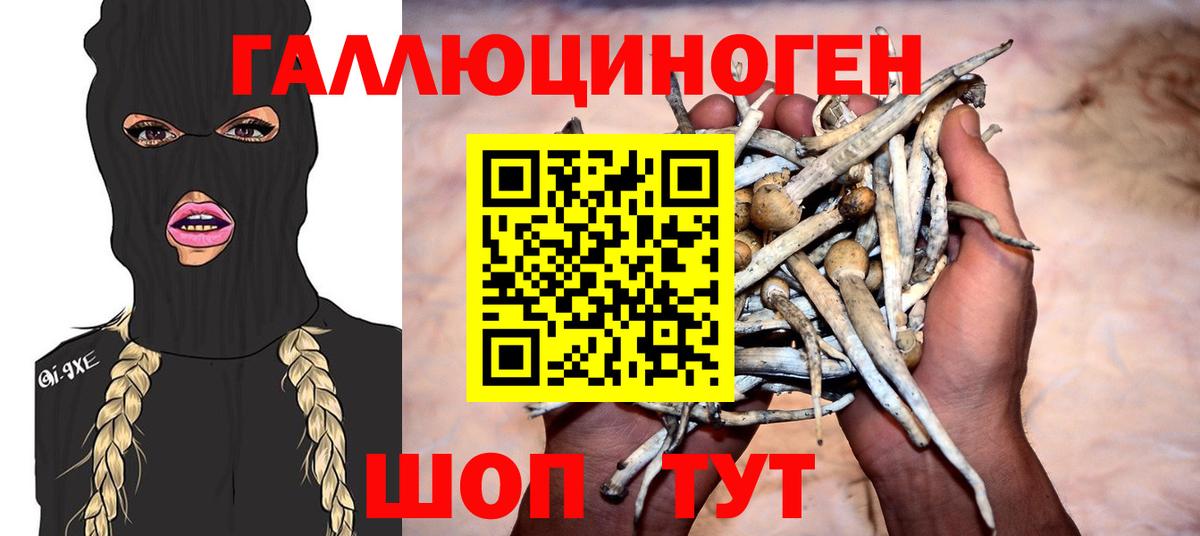 Галлюциногенные грибы ЛСД Кохма